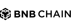 bnb chain